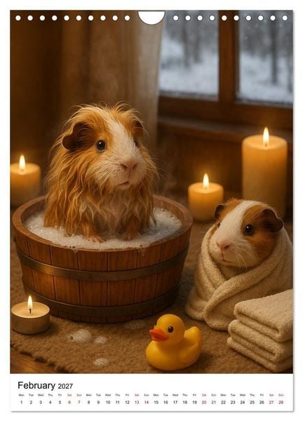 Produktbild: Guinea Pigs Cozy Moments (Wall Calendar 2027 DIN A4 portrait), CALVENDO 12 Month Wall Calendar