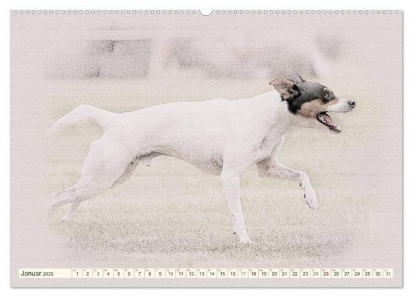 Produktbild: Bodeguero Andaluz 2026 (hochwertiger Premium Wandkalender 2026 DIN A2 quer), Kunstdruck in Hochglanz