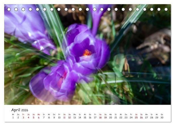 Produktbild: Abstrakte Naturerlebnisse - ICM (Intentional Camera Movement) Fotografie (Tischkalender 2026 DIN A5 quer), CALVENDO Monatskalender