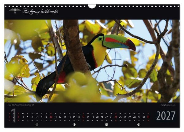 Produktbild: Costa Rica Blickwinkel 2027 (Wandkalender 2027 DIN A3 quer), CALVENDO Monatskalender