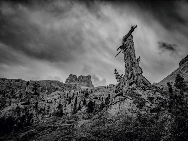Produktbild: CALVENDO Puzzle Dolomiten - Verwitterter Baum vor dem Sturm 1000 Teile Puzzle quer | 1000 Teile Lege-Gr&ouml;&szlig;e 64 &times; 48 cm Foto-Puzzle f&uuml;r gl&uuml;ckliche Stunden