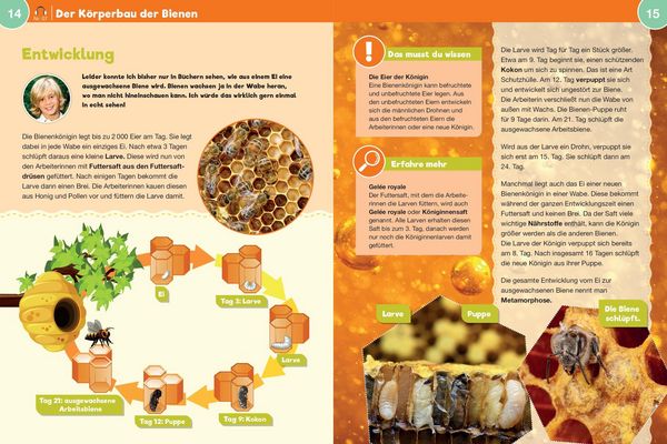 Produktbild: Leselauscher Wissen: Bienen