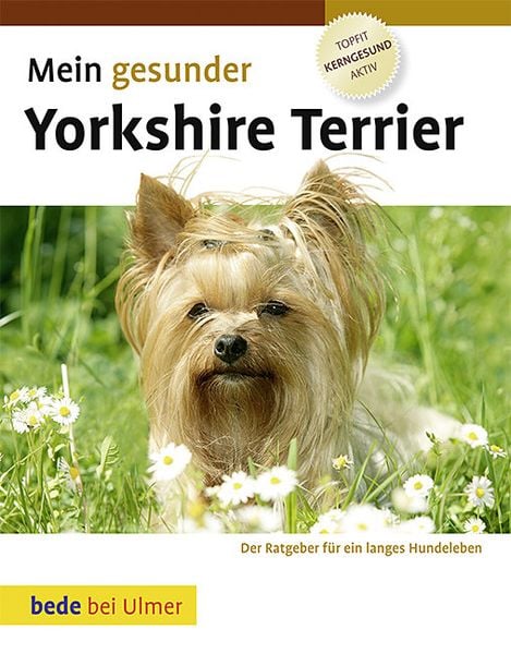 Mein gesunder Yorkshire Terrier, Gebundene Ausgabe von Lowell Ackerman, Verlag Eugen Ulmer, 9783800167821