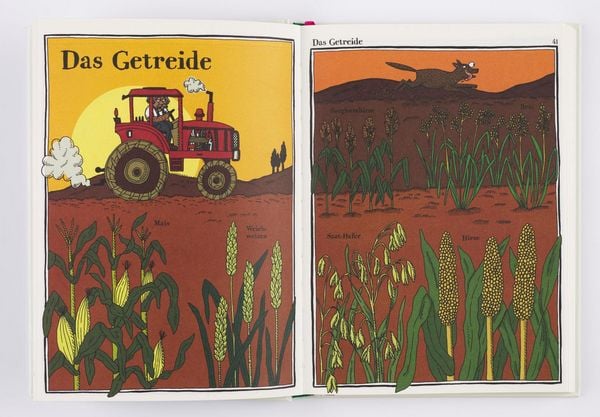 Produktbild: Kaktus, Klee und Kopfsalat