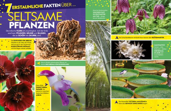 WOW! Tolle Tiere, fantastische Phänomene, unendliches Universum und die Wunder unserer Welt