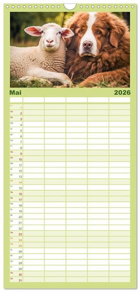 Produktbild: Familienplaner 2026 - Bauernhof-Freunde - Hunde und ihre tierischen Freundschaften mit 5 Spalten (Wandkalender, 21 x 45 cm) CALVENDO