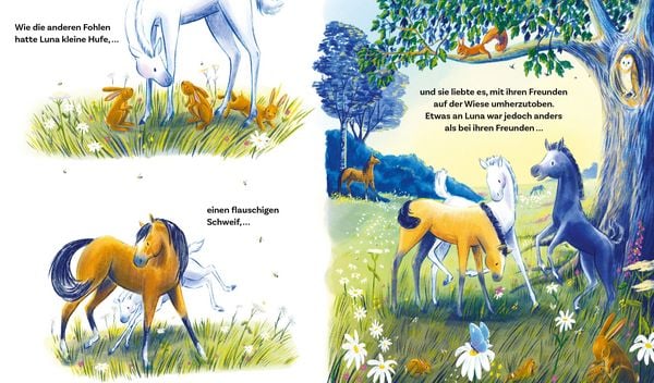 Produktbild: Luna findet ihren Zauber