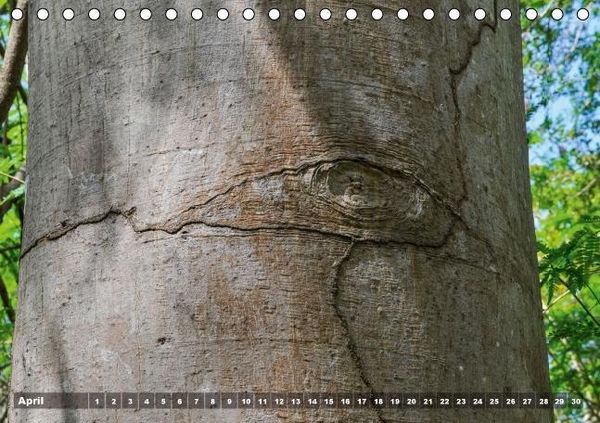 Produktbild: Gili Nanggu - Paradiesische kleine Insel (Tischkalender immerw&auml;hrend DIN A5 quer)