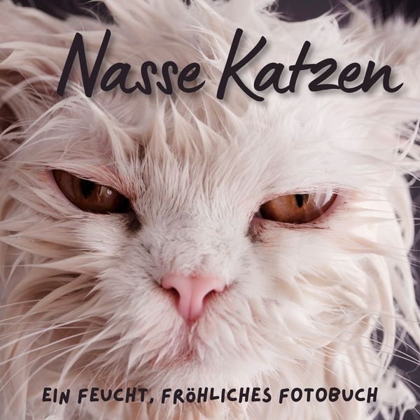 Nasse Katzen, Taschenbuch von Bibi Hübsch, 27amigos, 9783750515710