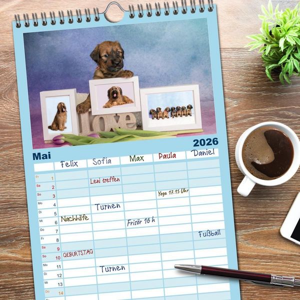 Produktbild: Familienplaner 2026 - Briardbabys in ihren ersten Wochen mit 5 Spalten (Wandkalender, 21 x 45 cm) CALVENDO