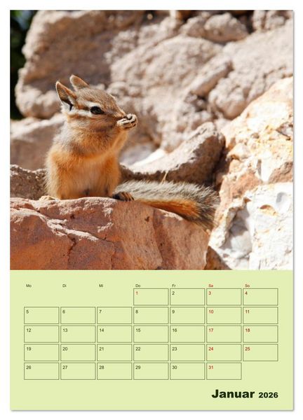 Produktbild: H&ouml;rnchen aus aller Welt (Wandkalender 2026 DIN A3 hoch), CALVENDO Monatskalender