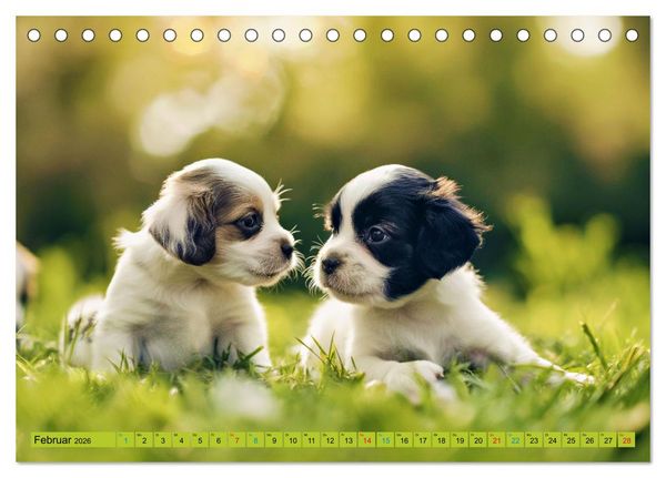Produktbild: Tierkinder auf dem Land (Tischkalender 2026 DIN A5 quer), CALVENDO Monatskalender