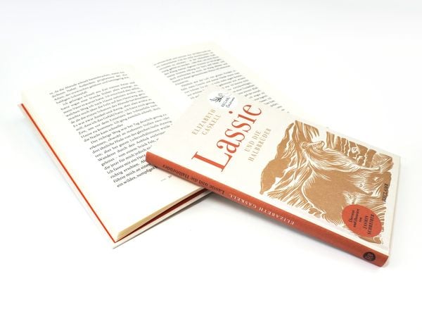 Produktbild: Lassie und die Halbbr&uuml;der