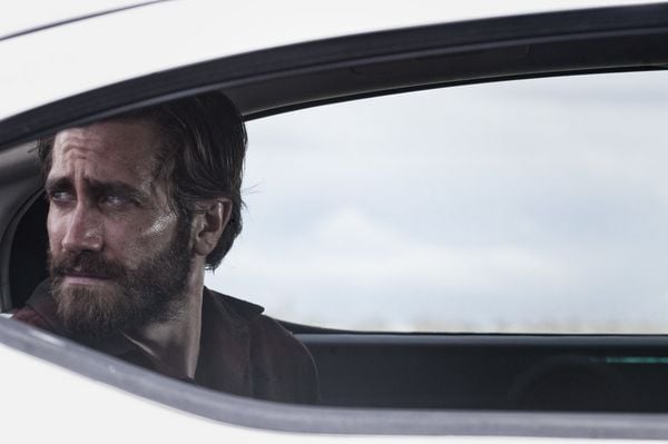 Produktbild: Nocturnal Animals
