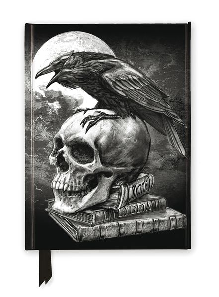 Produktbild: Premium Notizbuch DIN A5: Alchemie, Edgar Ellen Poe's Rabe
