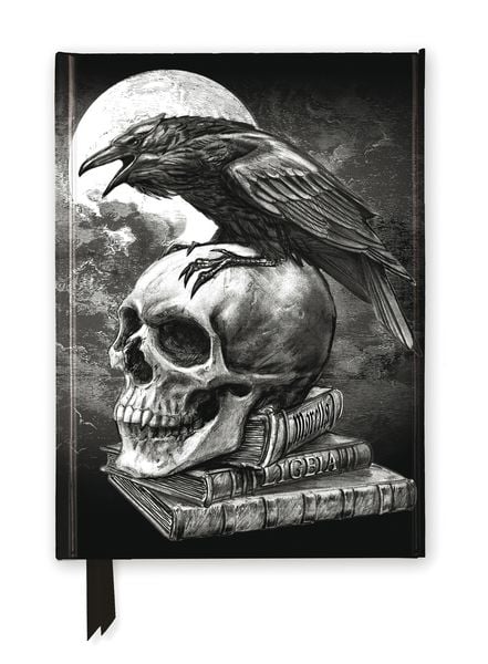 Produktbild: Premium Notizbuch DIN A5: Alchemie, Edgar Ellen Poe's Rabe