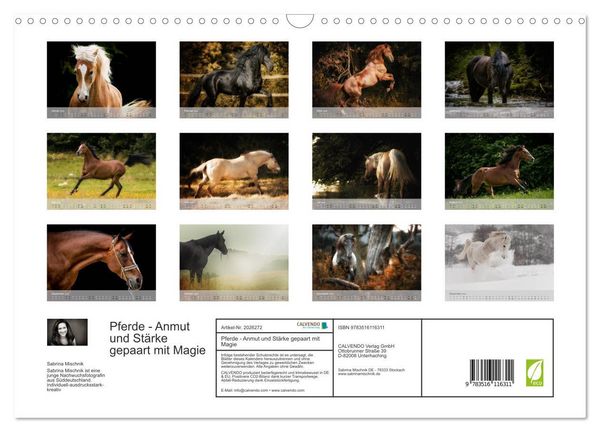Produktbild: Pferde - Anmut und St&auml;rke gepaart mit Magie (Wandkalender 2026 DIN A3 quer), CALVENDO Monatskalender