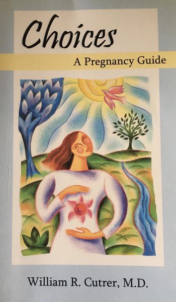 Produktbild: Choices: A Pregnancy Guide