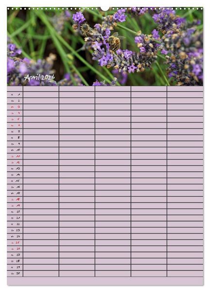 Produktbild: Naturzauber Lavendel - Familienplaner (hochwertiger Premium Wandkalender 2026 DIN A2 hoch), Kunstdruck in Hochglanz