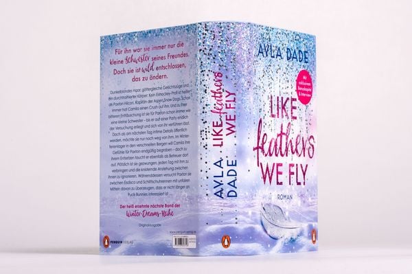 Produktbild: Like Feathers We Fly