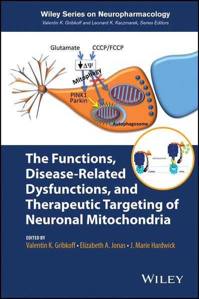 Produktbild: The Functions, Disease-Related Dysfunctions, and Therapeutic Targeting of Neuronal Mitochondria