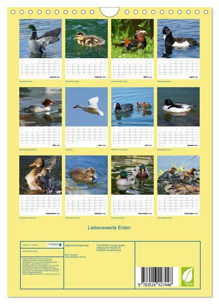 Produktbild: Liebenswerte Enten (Wandkalender 2026 DIN A4 hoch), CALVENDO Monatskalender