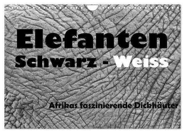 Elefanten Schwarz - Weiss (Wandkalender 2026 DIN A4 quer), CALVENDO Monatskalender