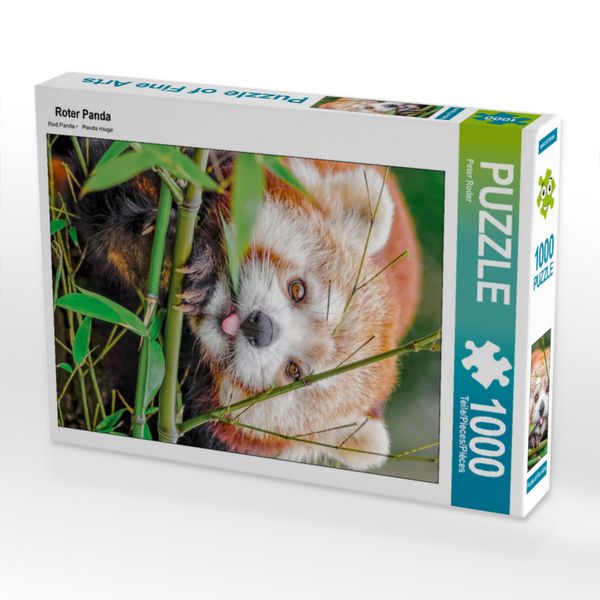Produktbild: CALVENDO Puzzle Roter Panda 1000 Teile Lege-Gr&ouml;&szlig;e 480 x 640 cm Foto-Puzzle Bild von Peter Roder