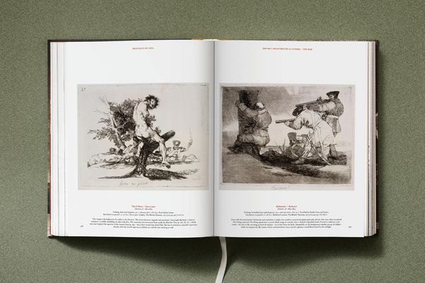 Produktbild: Goya