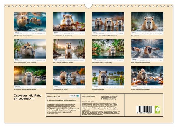 Produktbild: Capybara - die Ruhe als Lebensform (Wandkalender 2027 DIN A3 quer), CALVENDO Monatskalender