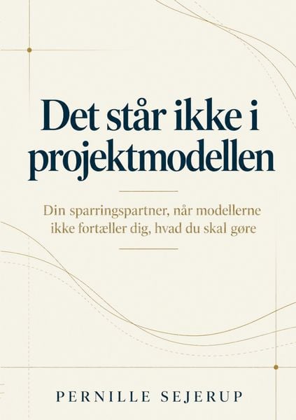 Produktbild: Det st&aring;r ikke i projektmodellen