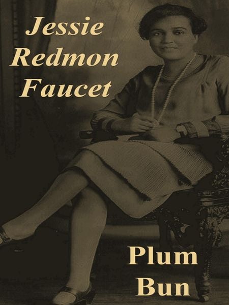 Produktbild: Plum Bun: A Novel Without a Moral