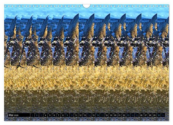 Produktbild: Magische Bilder - Stereogramme und 3D-Illusionen (Wandkalender 2026 DIN A3 quer), CALVENDO Monatskalender