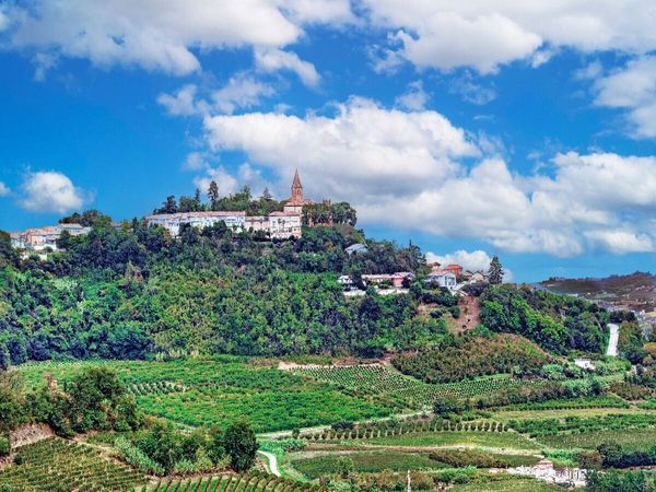 Produktbild: CALVENDO Puzzle Weinanbau im Piemont in der Region Roero | 1000 Teile Lege-Gr&ouml;&szlig;e 64x48cm Foto-Puzzle f&uuml;r gl&uuml;ckliche Stunden