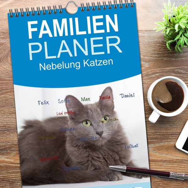 Produktbild: Familienplaner 2026 - Nebelung Katzen mit 5 Spalten (Wandkalender, 21 x 45 cm) CALVENDO