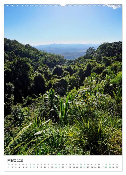 Produktbild: Regenwald - Australien (hochwertiger Premium Wandkalender 2026 DIN A2 hoch), Kunstdruck in Hochglanz
