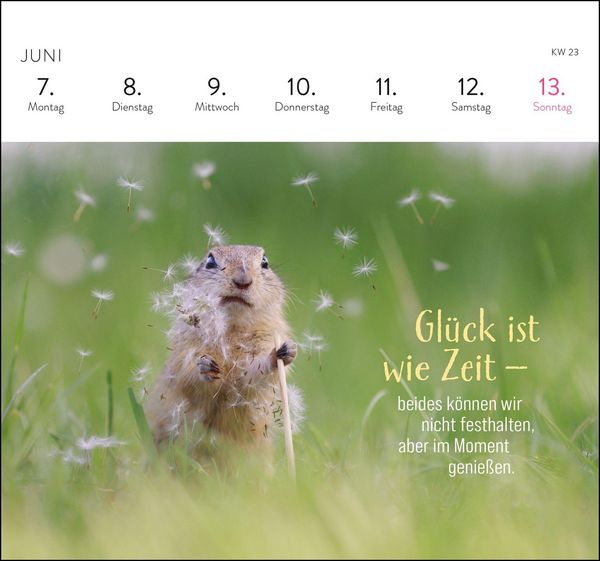 Produktbild: Postkartenkalender 2027: Kleine Gl&uuml;cksbringer f&uuml;r dein Jahr
