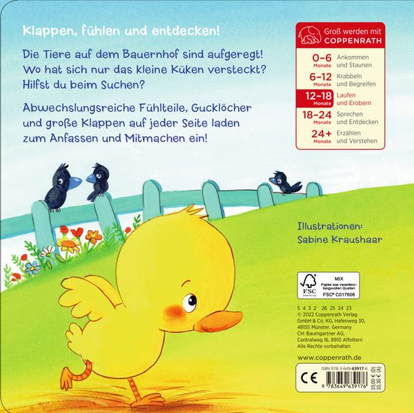 Produktbild: Mein erstes Gucklock-Fühlbuch: Kleines Küken, wo bist du?