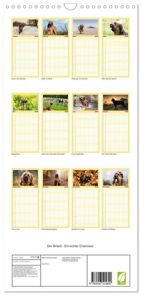 Produktbild: Familienplaner 2026 - Der Briard - Ein echter Charmeur mit 5 Spalten (Wandkalender, 21 x 45 cm) CALVENDO