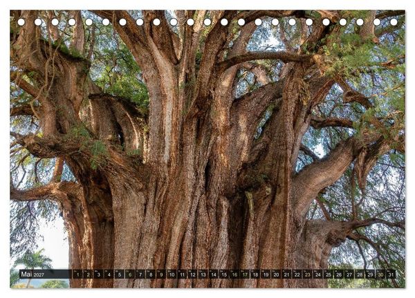 Produktbild: Naturwelt Mittelamerika (Tischkalender 2027 DIN A5 quer), CALVENDO Monatskalender