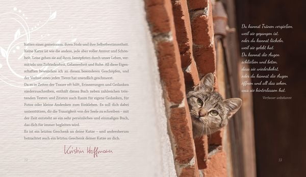 Produktbild: Mehr als nur eine Katze