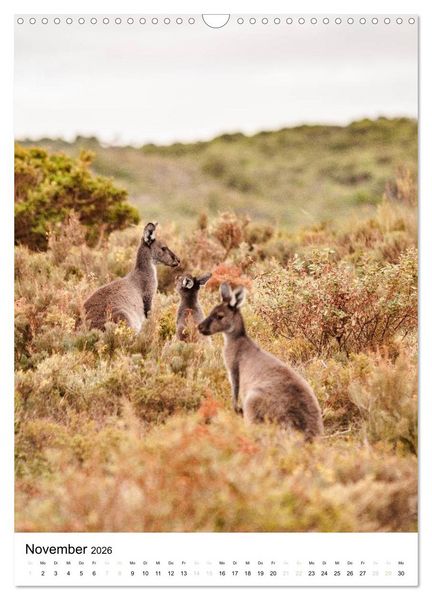 Produktbild: australian animals (Wandkalender 2026 DIN A3 hoch), CALVENDO Monatskalender