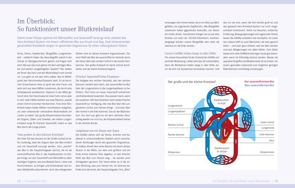 Produktbild: Die Ern&auml;hrungs-Docs &ndash; Starkes Herz