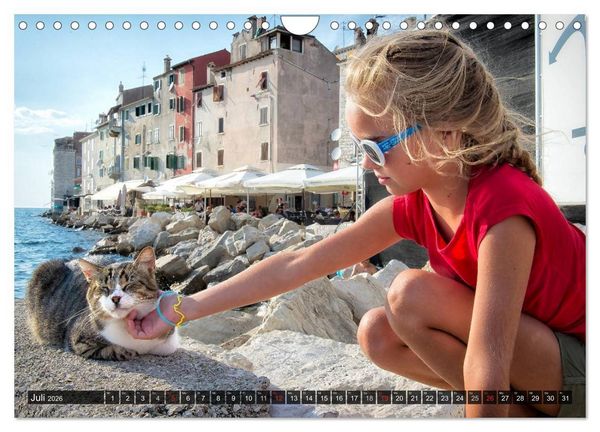 Produktbild: Die Katzen von Rovinj (Wandkalender 2026 DIN A4 quer), CALVENDO Monatskalender