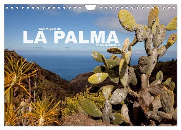 Produktbild: San Miguel de la Palma (Wandkalender 2026 DIN A4 quer), CALVENDO Monatskalender
