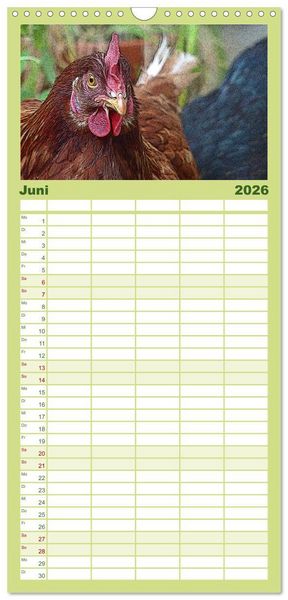 Produktbild: Familienplaner 2026 - Die H&uuml;hner sind los! mit 5 Spalten (Wandkalender, 21 x 45 cm) CALVENDO