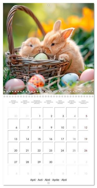 Produktbild: RABBITS Cuddly little guys (Wall Calendar 2026 12 &times; 12 Inch) CALVENDO 12 Month Wall Calendar