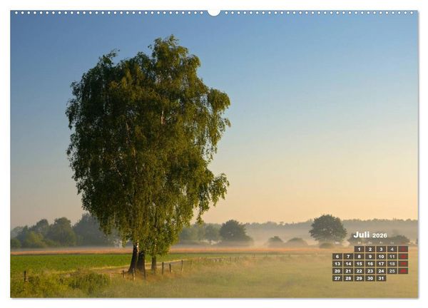 Produktbild: Die Dingdener Heide im Wandel der Jahreszeiten (Wandkalender 2026 DIN A2 quer), CALVENDO Monatskalender