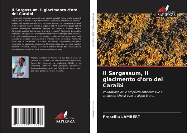 Produktbild: Il Sargassum, il giacimento d'oro dei Caraibi