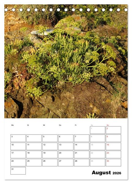 Produktbild: ELBA Trauminsel der Toskana (Tischkalender 2026 DIN A5 hoch), CALVENDO Monatskalender